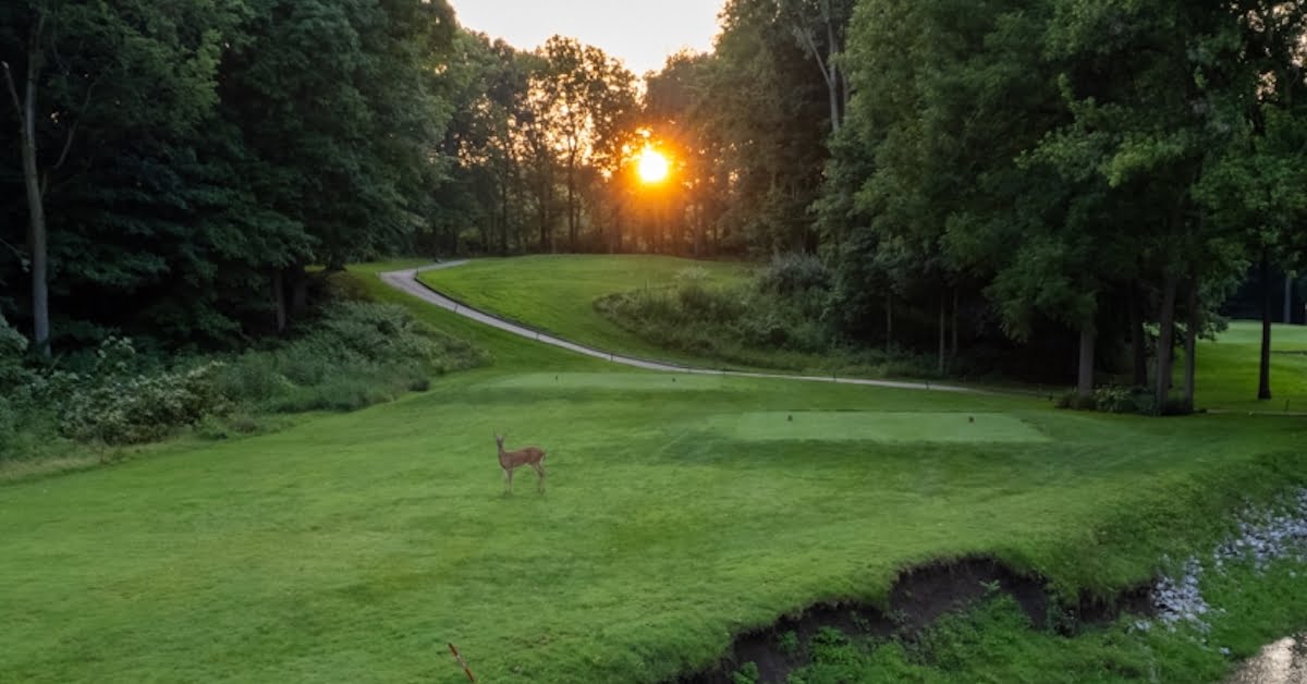 coyote crossing golf course