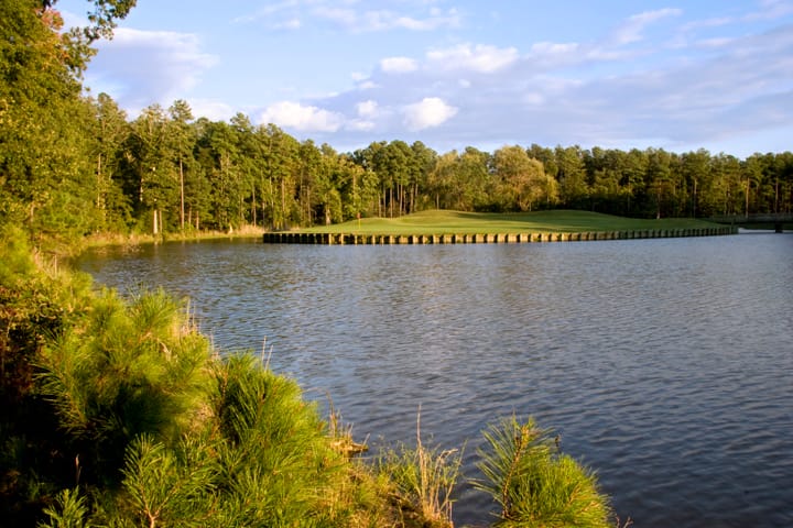 Water hole at Swan Point