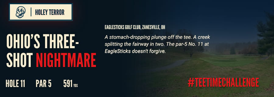 Eaglesticks Golf course hole 11