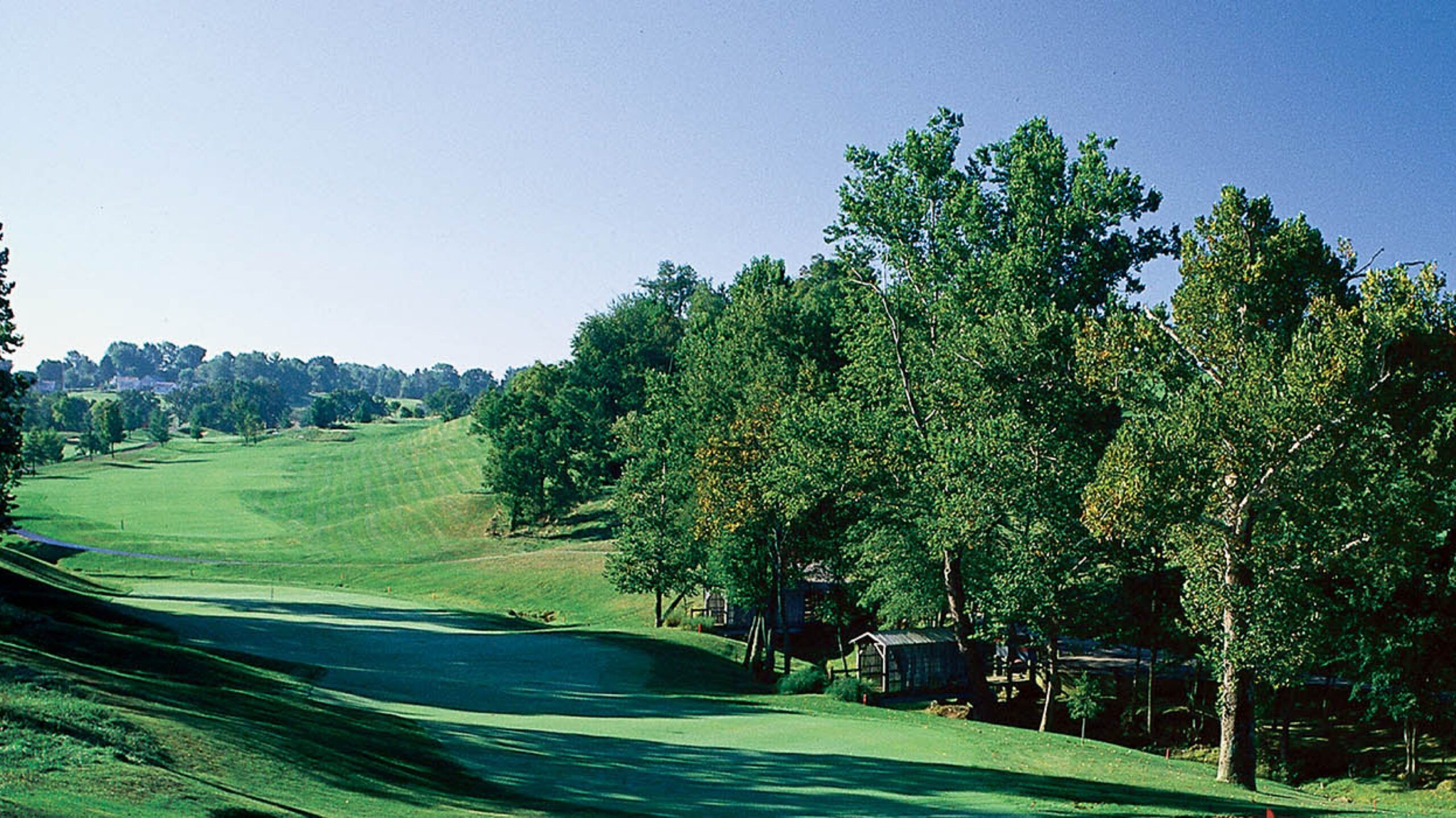 Eaglesticks hole 11