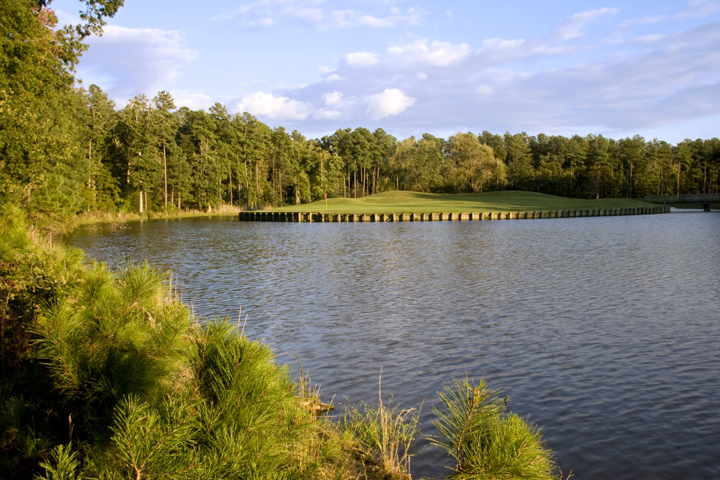 Water hole at Swan Point